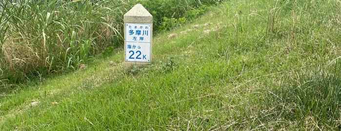 多摩川左岸 海から22Km is one of 多摩川.