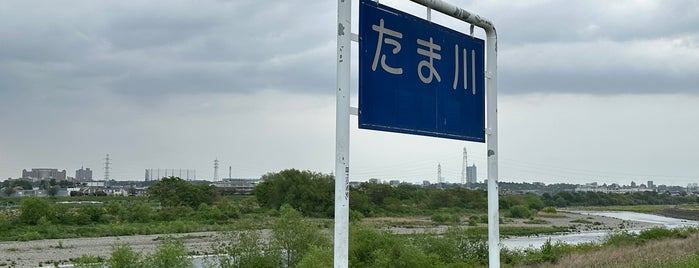 Tama River is one of 登戸駅 | おきゃくやマップ.