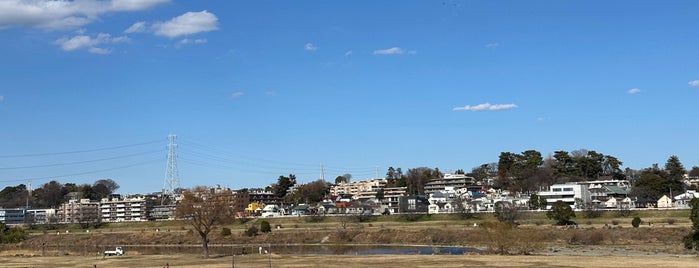 Tokyu Golf Park Tamagawa is one of 河川敷ゴルフ.