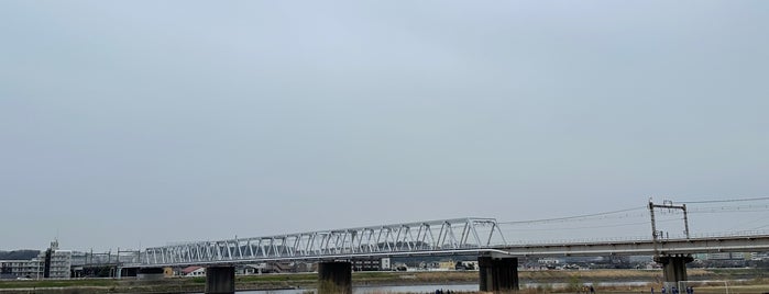 京王相模原線 多摩川橋梁 is one of 神奈川県_川崎市.