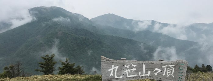 丸笹山 is one of 四国の山.