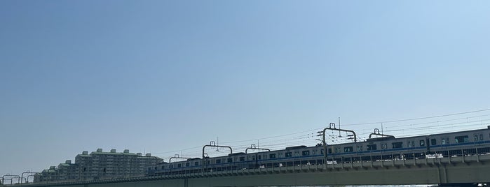 多摩川橋梁 is one of 鉄道の橋.