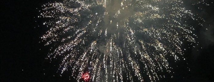 Nishinippon Ohori Fireworks Festival is one of （整理用）★ Kyusyu 九州.