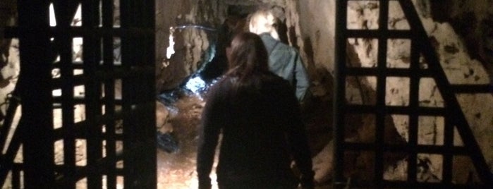 Bell Witch Cave & Farm is one of Ghost Adventures Locations.