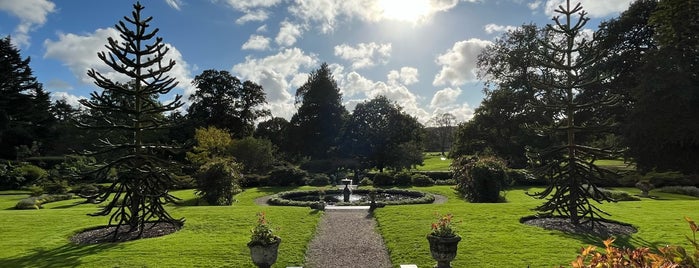 Arlington Court is one of Cornwall.