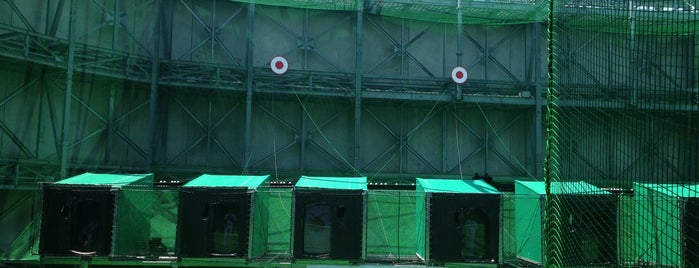Active AKIBA Batting Center is one of Tokyo Visit.