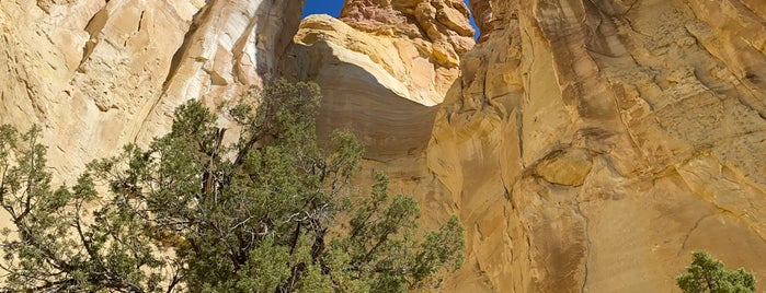 Grosvenor Arch is one of Süd-Utah / USA.