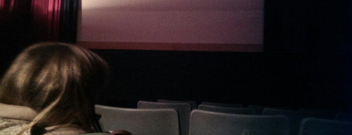 Park Cinema is one of Conor'un Beğendiği Mekanlar.