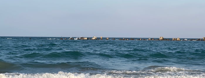 Caelia Beach is one of Mamaia.