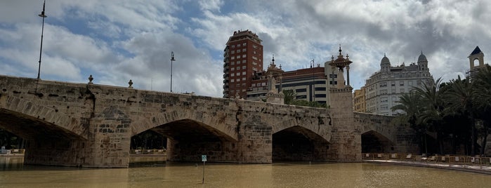 Pont de La Mar is one of Puentes del Turia.