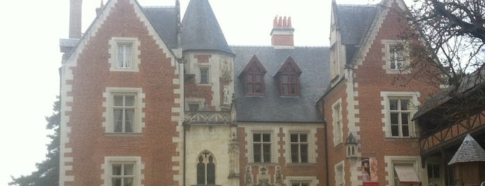 Château du Clos Lucé is one of Châteaux de la Loire.