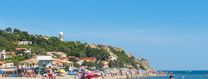 Leucate Plage is one of 11 Aude.