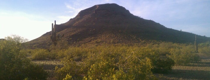 Lookout Mountain is one of Phoenix.