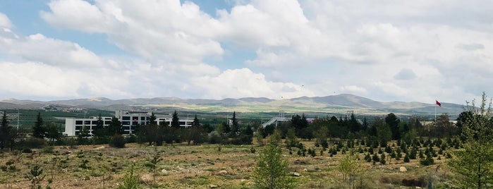 Sarı Kurdela is one of Orte, die Aykut gefallen.