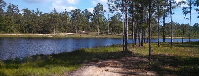 Speck Pond Campsite is one of Eglin AFB, FL.