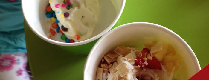 Crave Frozen Yogurt is one of NJ list.
