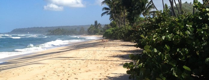 Papailoa Beach is one of Hawaii.