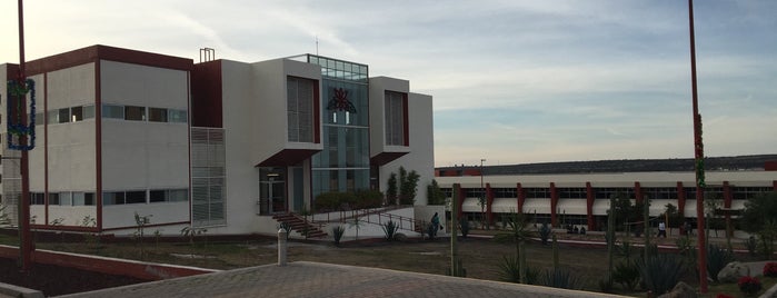 Universidad Tecnologica de San Miguel Allende is one of Locais curtidos por Marisela.