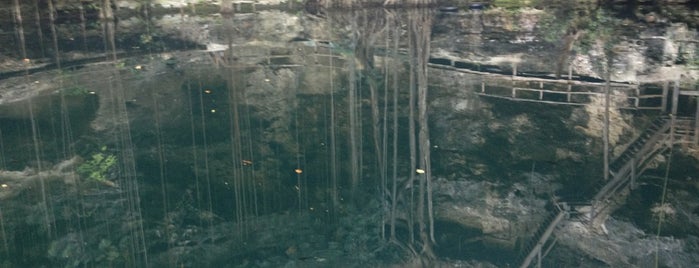 Cenote X'canché is one of Cenotes.