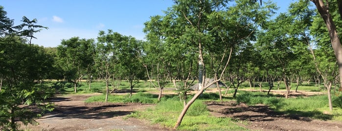 Pista Trail is one of Queretaro.