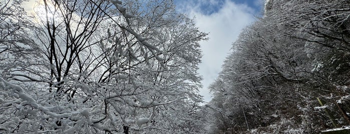 Hakone Pass is one of Linda's favorite places in Shizuoka.