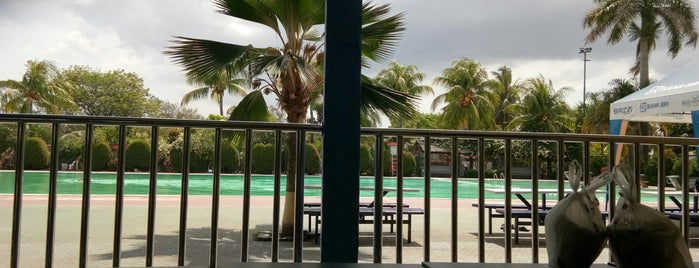 Krakatau Steel Swiming Pool is one of Favorite Great Outdoors.