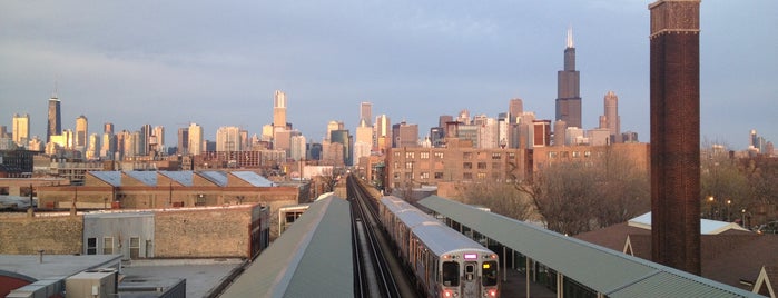CTA - Ashland is one of My Daily Commute.
