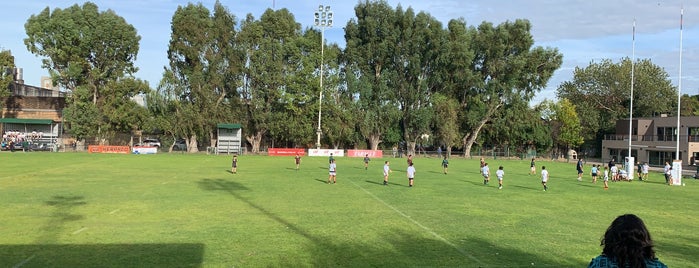 Olivos Rugby Club is one of Clubes.