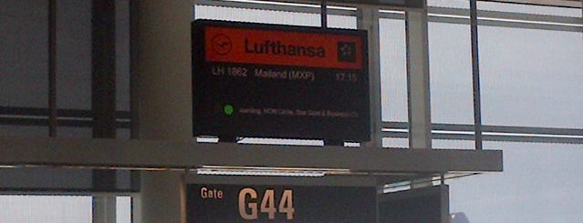 Lufthansa Flight LH 1862 is one of Aerei.
