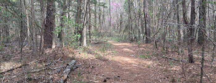 Andrew Jackson State Park is one of STATE/PROVINCIAL PARKS.