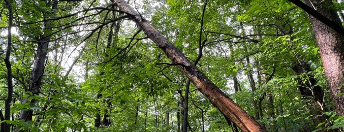 Stringers Ridge Hiking Trail is one of Orte, die Sarah gefallen.