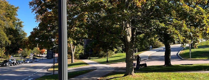 University of New Hampshire is one of Easy destinations from the Upper Valley (NH & VT).