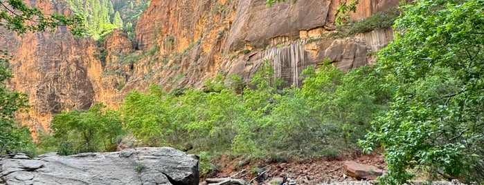The Narrows is one of Zion Trip.