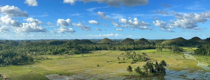 The Chocolate Hills is one of Queen 님이 저장한 장소.