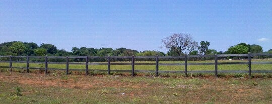 Caldazinha is one of Cidades de Goiás.