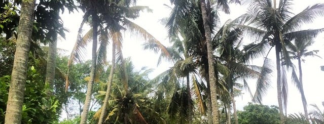 Pantai Seseh is one of Bali's Best.