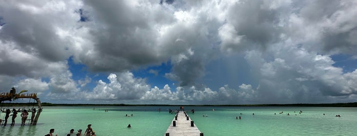 Laguna Kaan Luum is one of Cancún-Tulum.