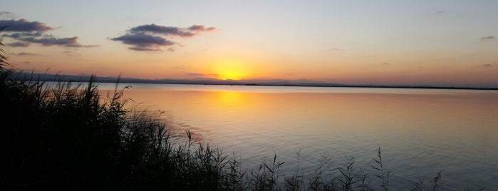 Parc Natural de l'Albufera is one of Cynthiaさんのお気に入りスポット.
