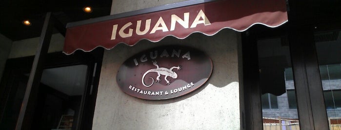 Iguana NYC is one of Places.