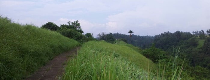 Bukit Campuhan is one of Убуд.