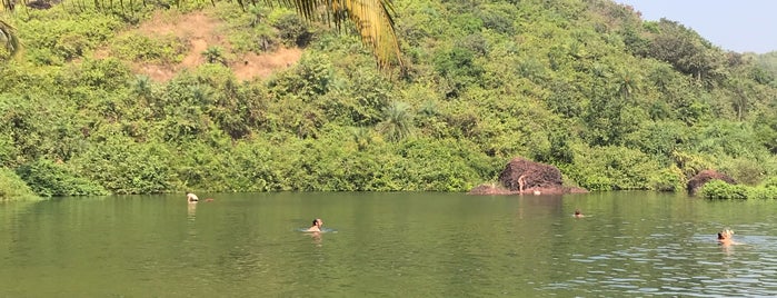 Arambol Sweet Water Lake is one of Goa.