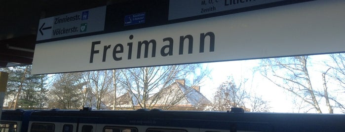 Freimann Gbf is one of Reisen.
