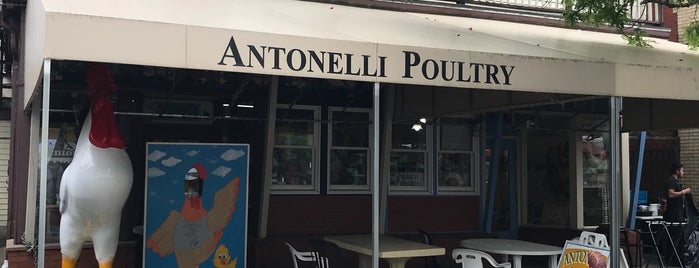 Antonelli Poultry is one of Long Weekend in PVD.