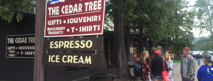 The Cedar Tree is one of Montana Road Trip!.