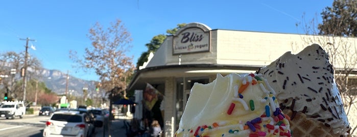 Bliss Frozen Yogurt is one of LA.