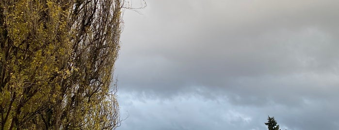 West Montlake Park is one of Views.