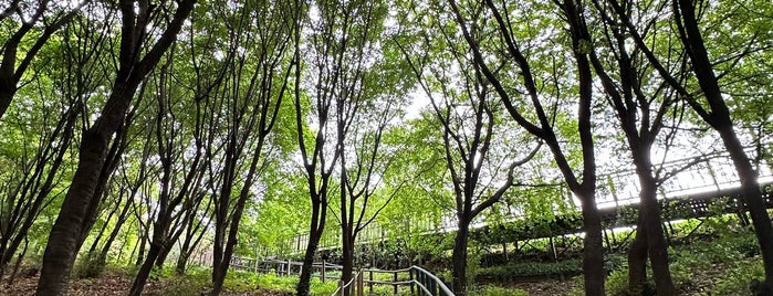 Seoripul Park is one of 서울의 크고 작은 공원들.