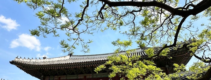 Тонхвамун is one of Seul.