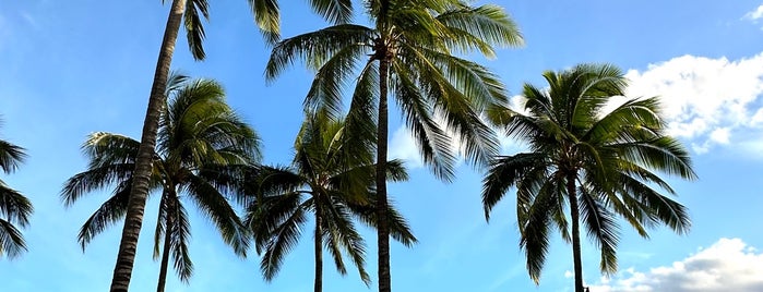 Hilton Hawaiian Village Lagoon is one of สถานที่ที่ Curtis ถูกใจ.