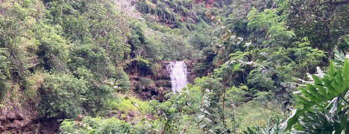 Waimea Valley Waterfall is one of O'ahu, Hawaii.
